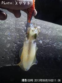 ¥¢¥ª¥ê¥¤¥«