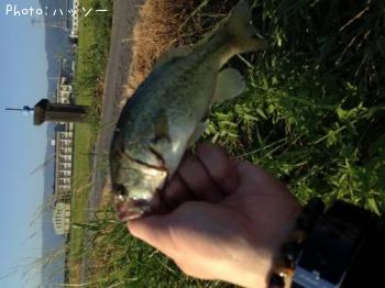 �֥�å��Х�