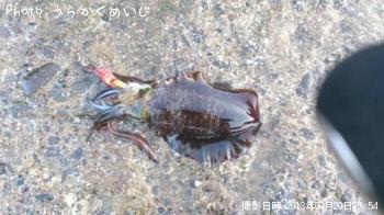 �����ꥤ��