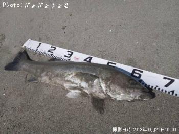 �����Х�