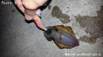 �����ꥤ��