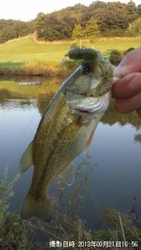 ¥Ö¥é¥Ã¥¯¥Ð¥¹