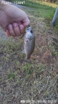 �֥�å��Х�