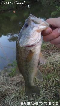 �֥�å��Х�