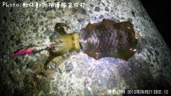 �����ꥤ��