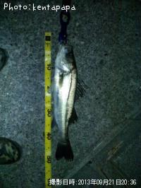 �����Х�