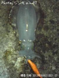 �����ꥤ��