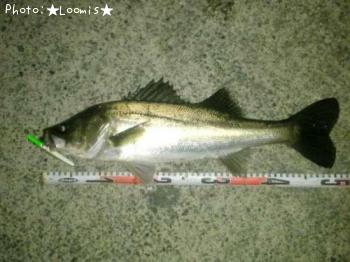 �����Х�