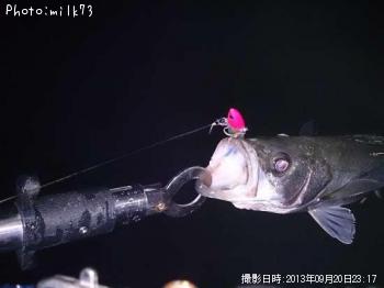 �����Х�