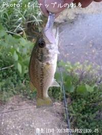 �֥�å��Х�