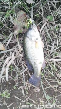 ¥Ö¥é¥Ã¥¯¥Ð¥¹