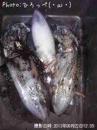 �����ꥤ��