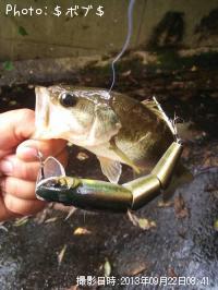 �֥�å��Х�