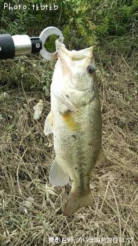 �֥�å��Х�