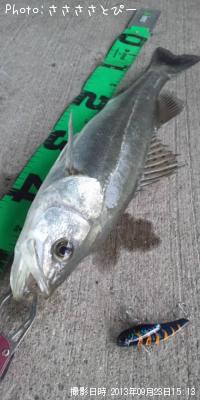 �����Х�