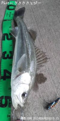 �����Х�