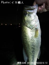 ¥Ö¥é¥Ã¥¯¥Ð¥¹