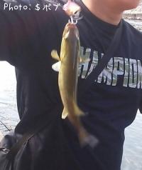 �֥�å��Х��ʥ��⡼��ޥ����Х���