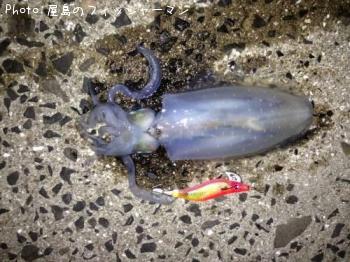 �����ꥤ��