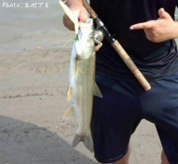 �ޥ륿������