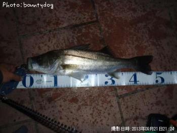 �����Х�