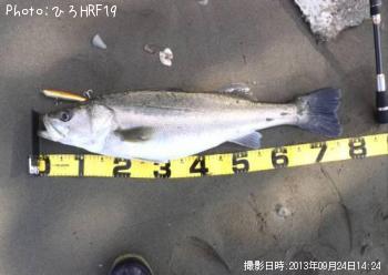 �����Х�