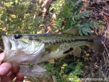 �֥�å��Х�