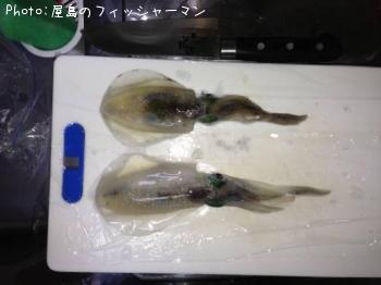 ¥¢¥ª¥ê¥¤¥«