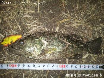 �֥�å��Х�