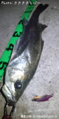 �����Х�