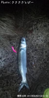 �����Х�