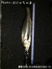 �����Х�