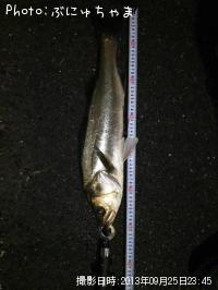 �����Х�