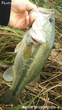 �顼���ޥ����Х�