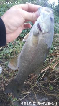 �顼���ޥ����Х�