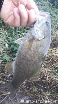 �顼���ޥ����Х�