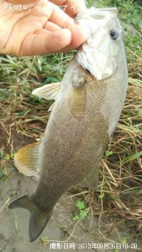 �顼���ޥ����Х�