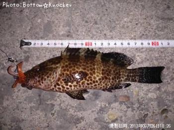 �������ϥ�