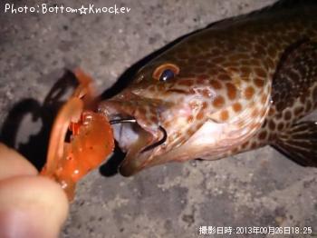 �������ϥ�