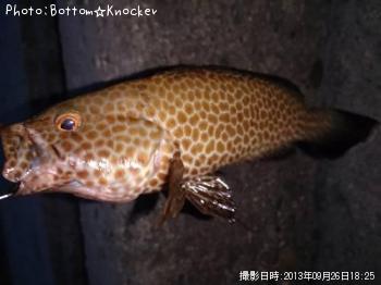 �������ϥ�