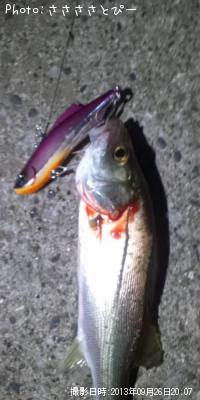 �����Х�