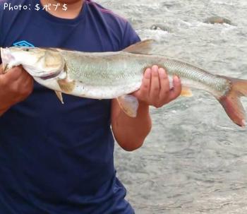 �ޥ륿������