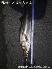 �����Х�