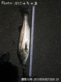 �����Х�