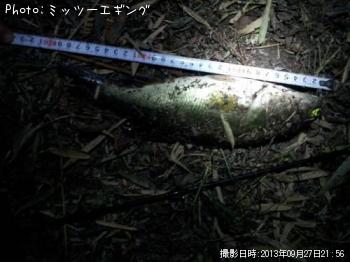 �֥�å��Х�