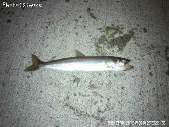 ¥¥å¥¦¥ê¥¦¥ª