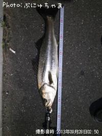 �����Х�