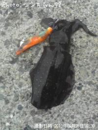 �����ꥤ��