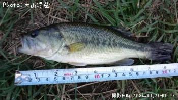 ¥Ö¥é¥Ã¥¯¥Ð¥¹