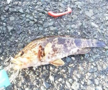 �����Υ���Х�